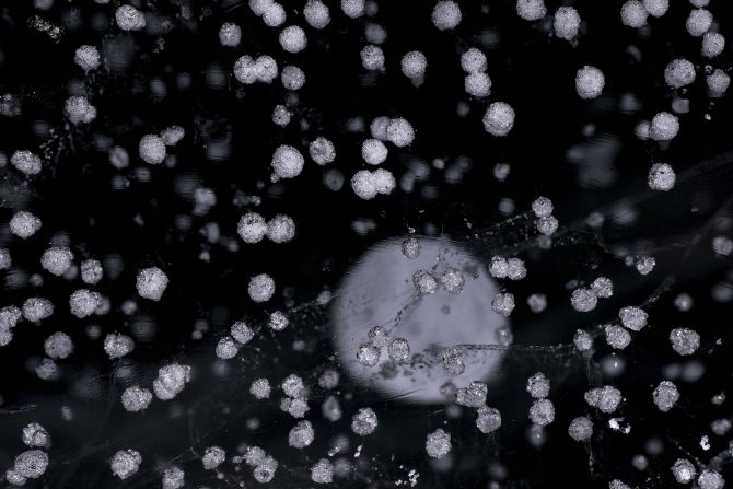 蛹怜ｰｾ蜀咏悄螻穂ｻ｣陦ｨ逕ｻ蜒上ヵ繧ｩ繝ｫ繧ｿ繧・COSMIC_STRUCTURES_s