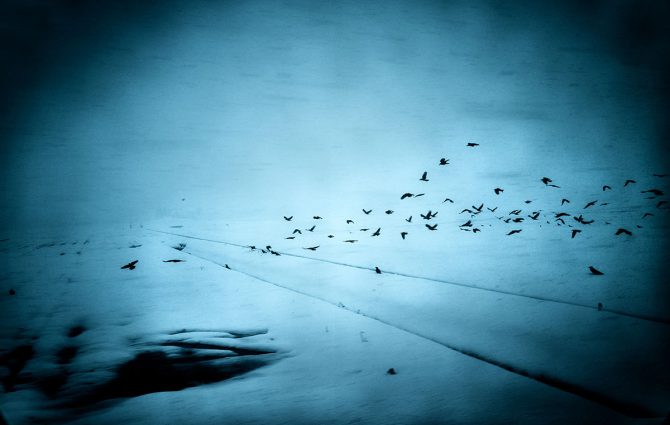 01_Into the Silence ©Yasuhiro Ogawa