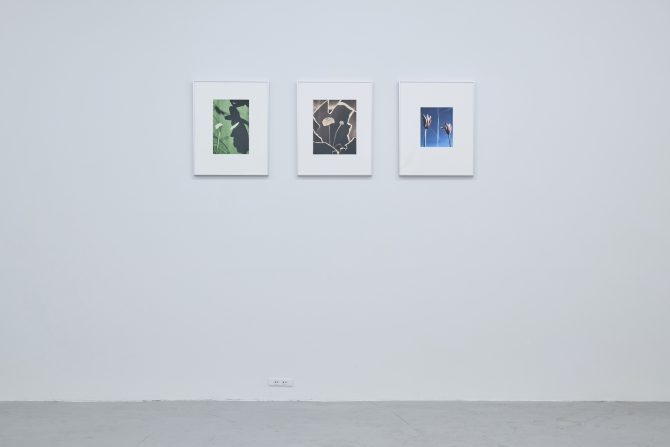 installation view Temps mort, 2026