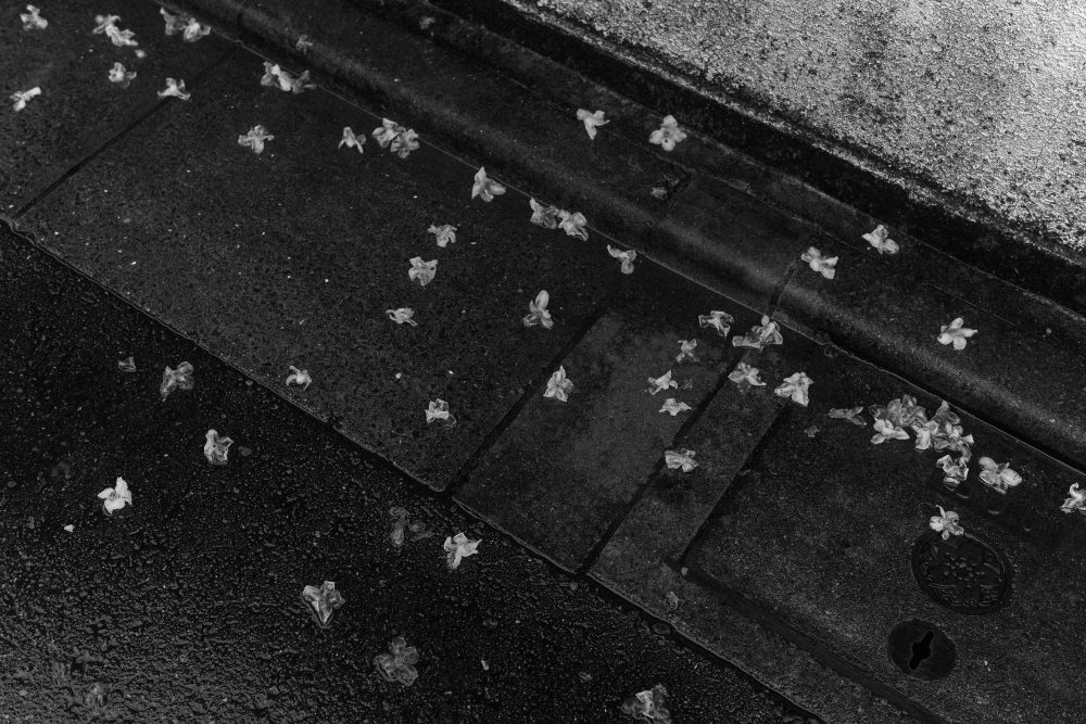 sub_02_The Meeting of Two Eyes