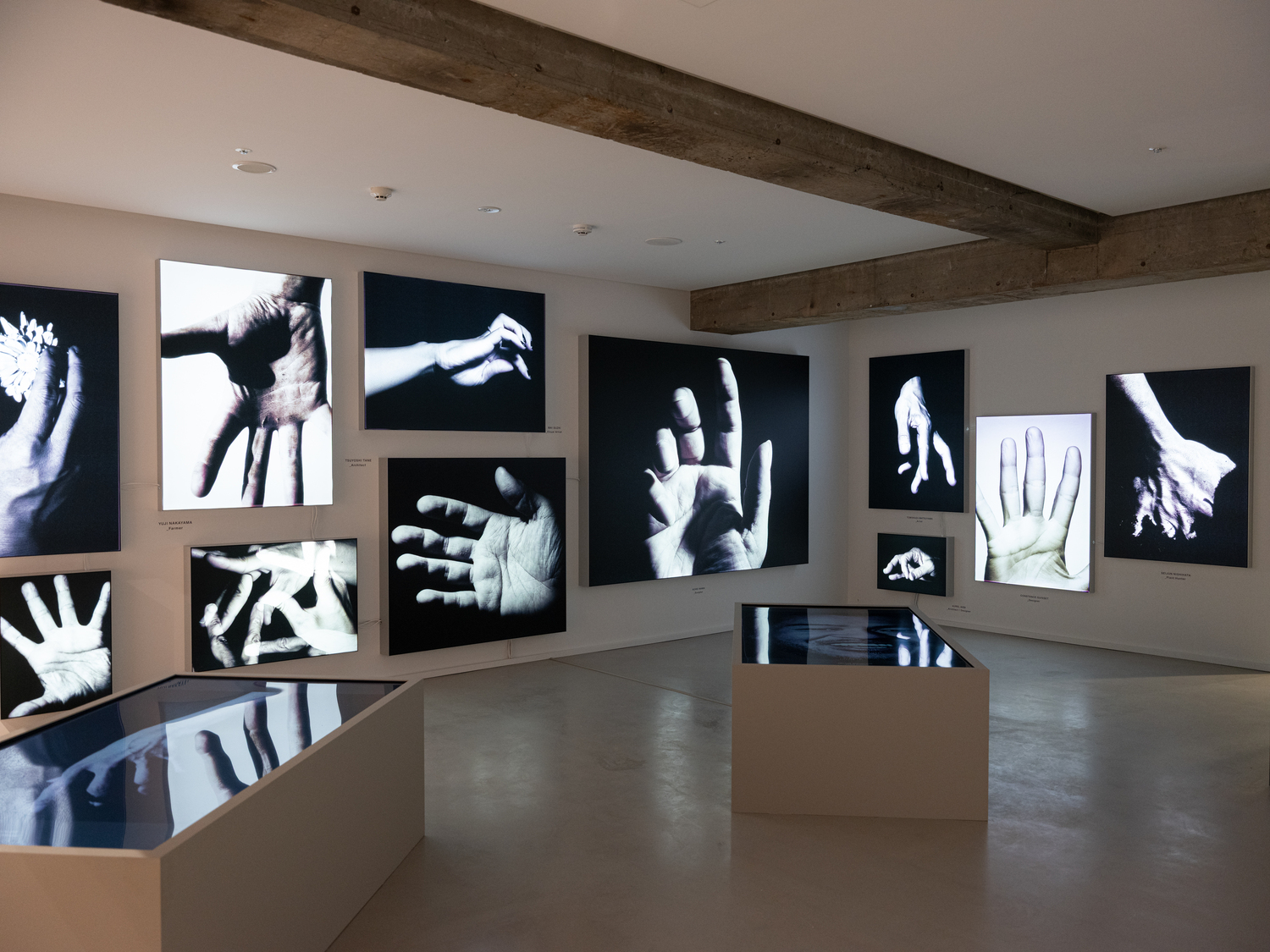 「手」から始まる、次代のクリエイション―A-POC ABLE ISSEY MIYAKE | A-POC SPACE「PORTRAITS：HANDS by KENTA UMEMOTO」展（PROMOTION） | STKI5747